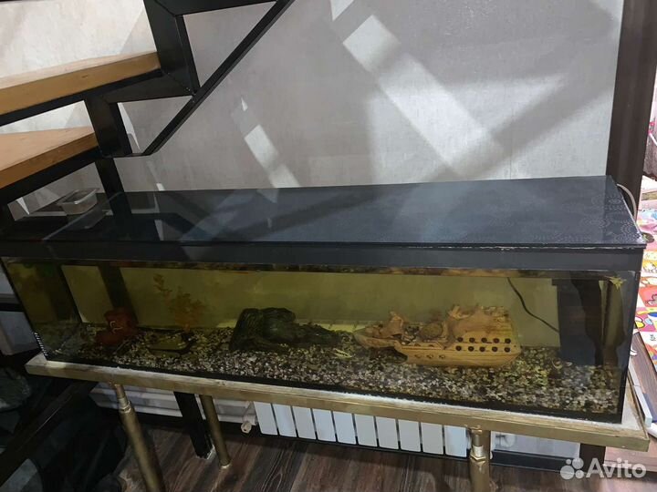 Аквариум