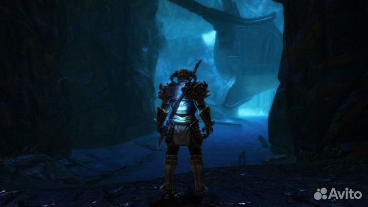 Kingdoms of Amalur: Re-Reckoning (Steam)