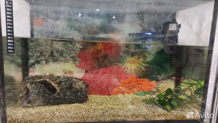 Аквариум 60л