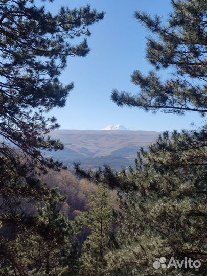 Индивидуальные экскурсии