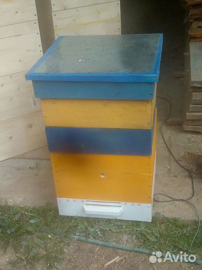 Пчелы и улья