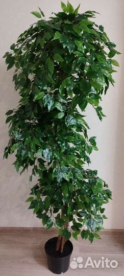 Искусственное дерево фикус каскад
