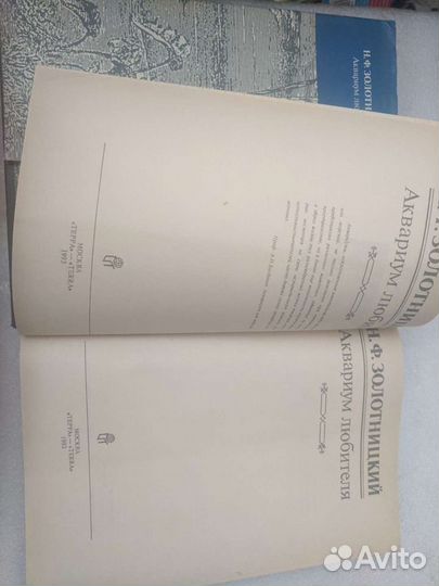 Д.Стефен и Д.Локи 