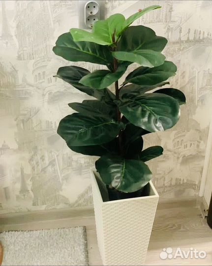 Искусственные растения для декора