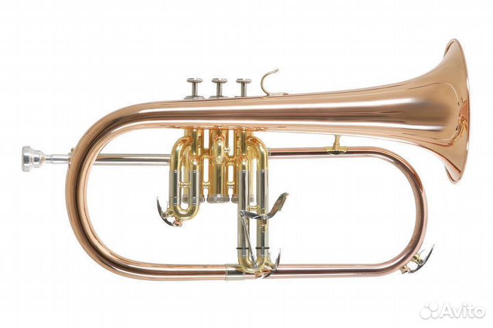 Флюгельгорн Roy Benson FH-302G