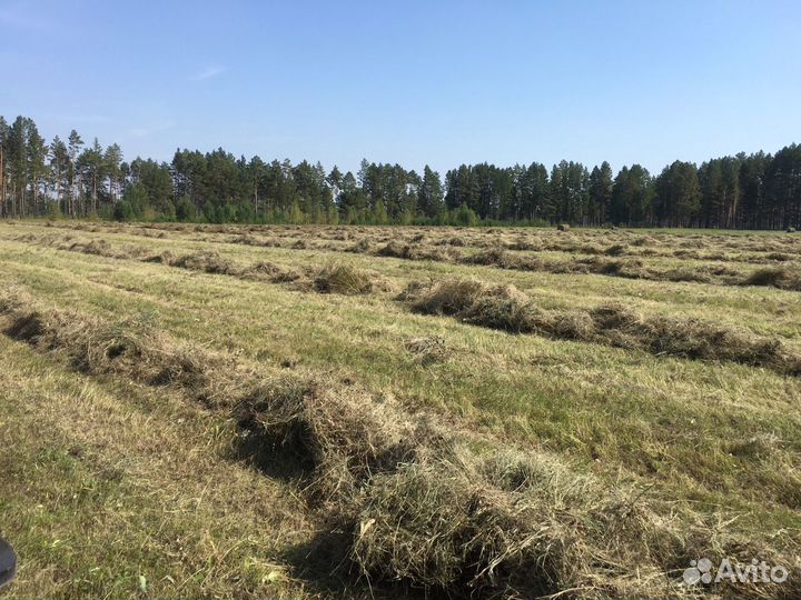Продам сено, Ангарск, Усолье-Сибирское