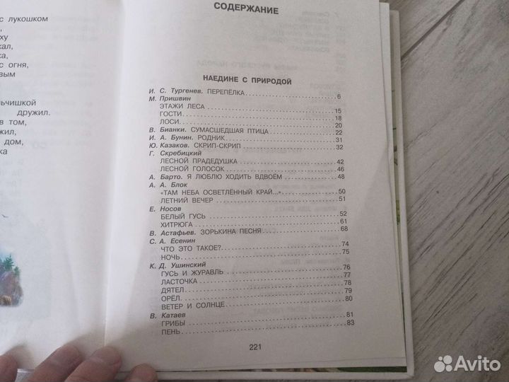 Книга Родничок 4 класс