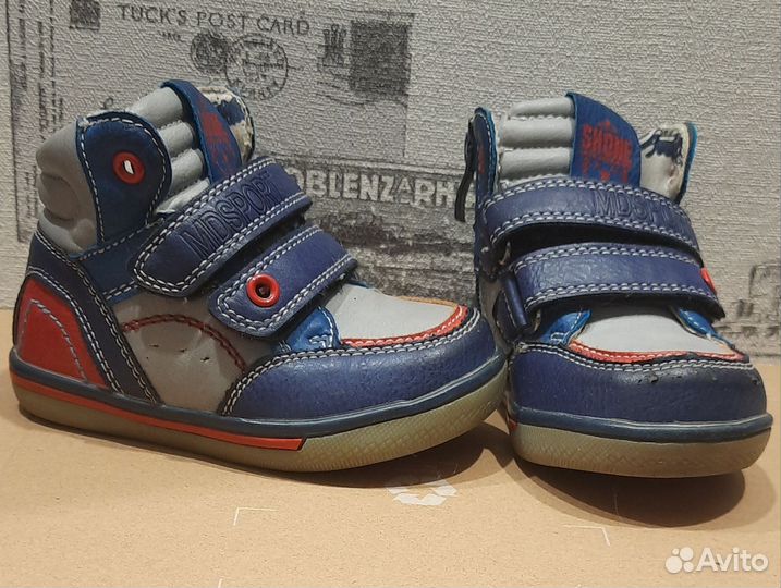 Ботинки демисезонные