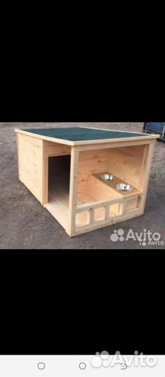 Собачья будка