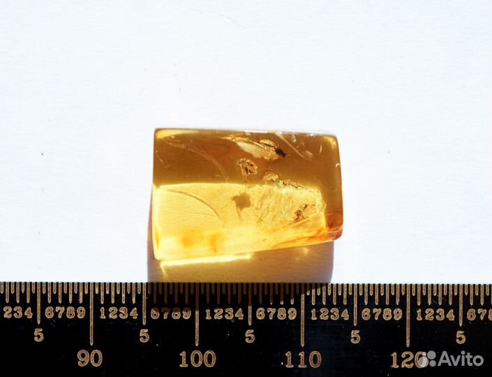 Натуральный балтийский янтарь с включением мухи