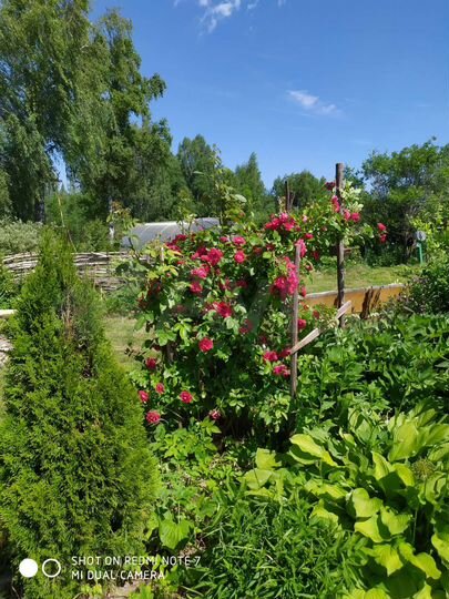 Дом 52 м² на участке 15 сот.