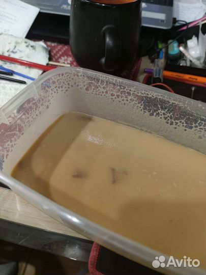 Живой корм для аквариумных рыбок