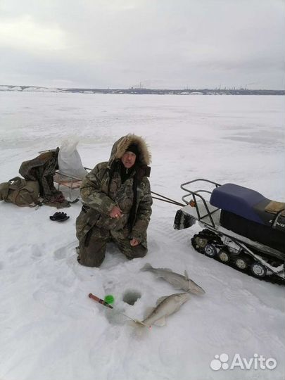 Снегоход
