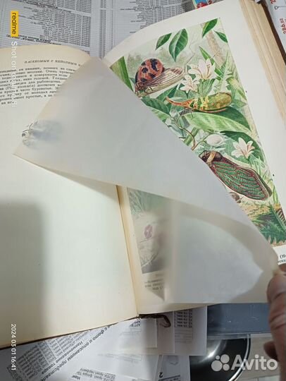 Книга жизнь животных