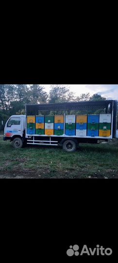 Пасека с пчёлами
