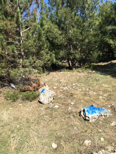 Участок 17,6 сот. (ИЖС)