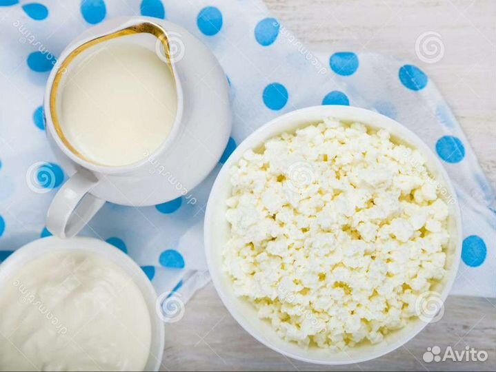 Молоко, творог, сметана. Яйца домашние
