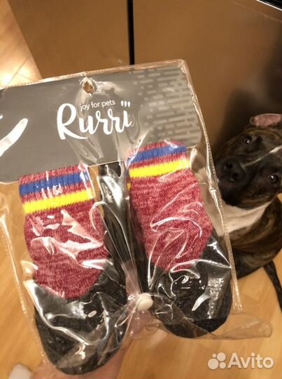 Обувь для собак