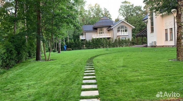 Рулонный газон от производителя