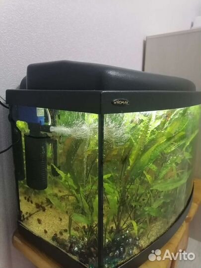 Аквариум с рыбками