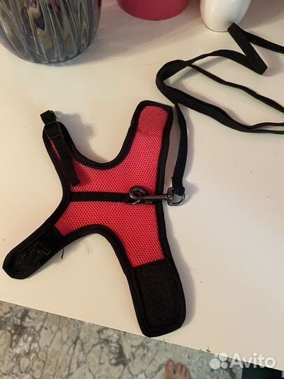 Шлейка для мелких грызунов (хорек, крыска)