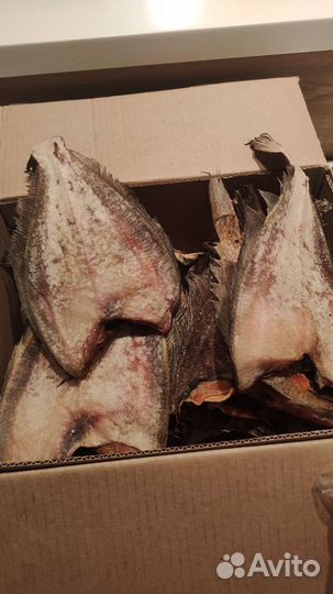 Камбала-ерш (вяленая), ленок с/м