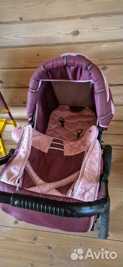 Коляска адамекс neon