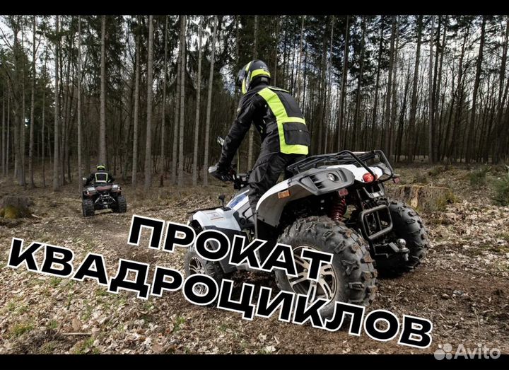 Прокат квадроциклов