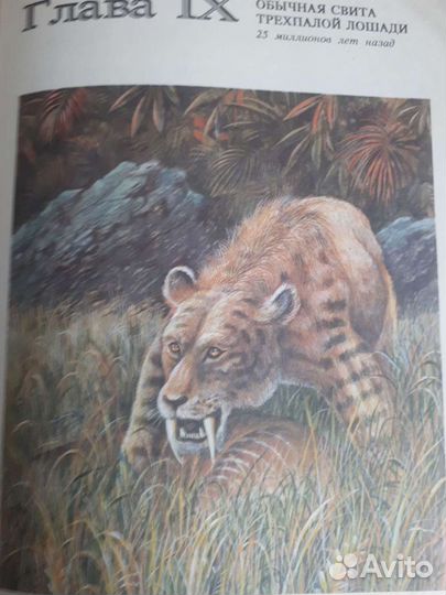 Книга- След динозавра издательство 