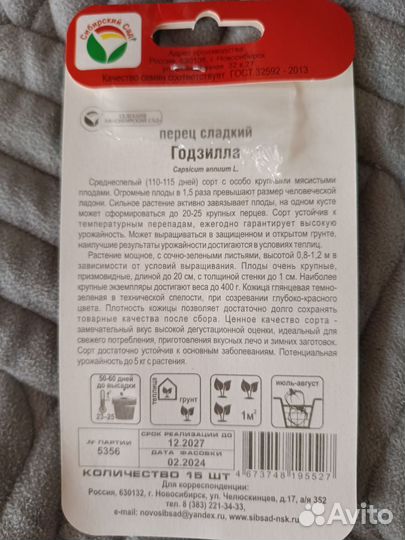 Рассада перца