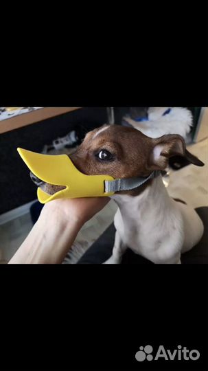 Намордник для маленькой собаки