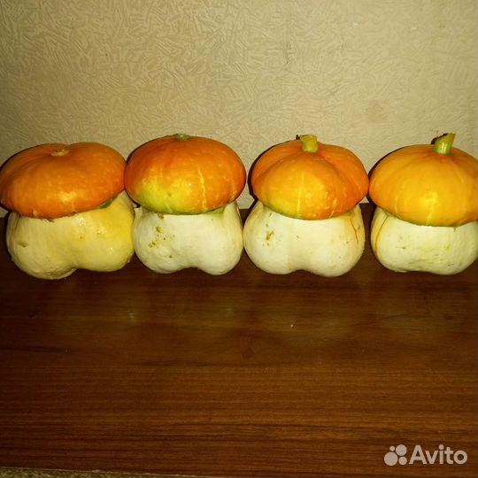 Семена декоративной тыквы