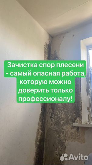 Калуга уничтожение насекомых грызунов плесеньюи