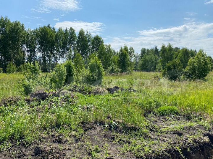 Участок 7 сот. (СНТ, ДНП)