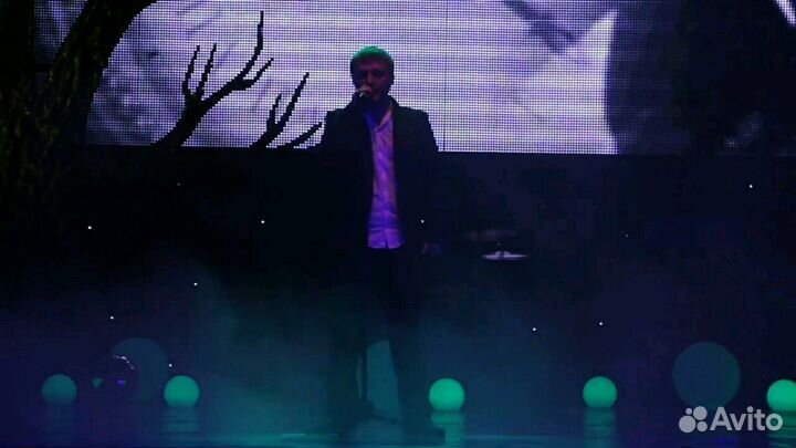 Живая музыка. Вокалист, звукорежиссер