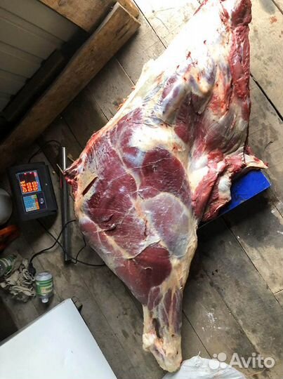 Мясо свежее говядина