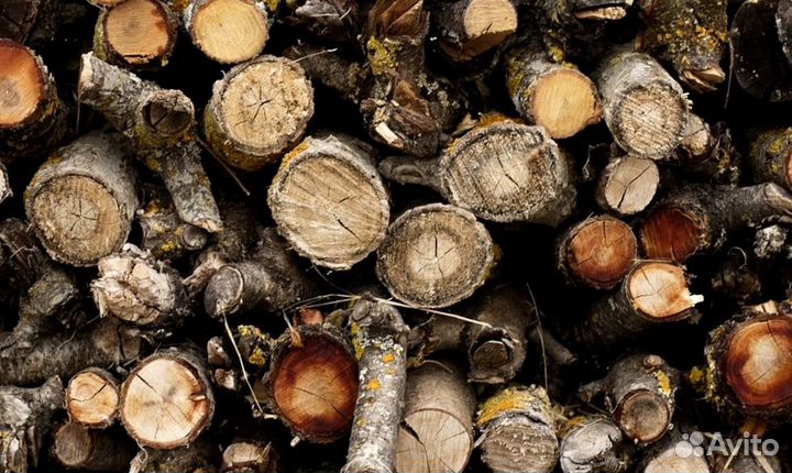 Дрова с Приозерска