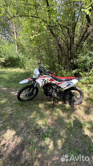 Irbis TTR250