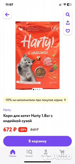 Корм для котят