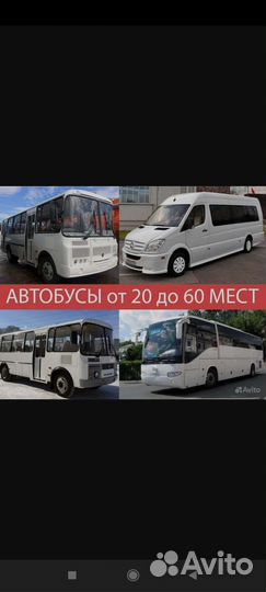 Аренда автобуса. Доставка сотрудников