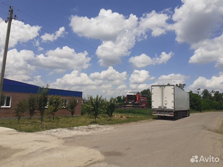 Услуги переработки давальческой семечки на масло