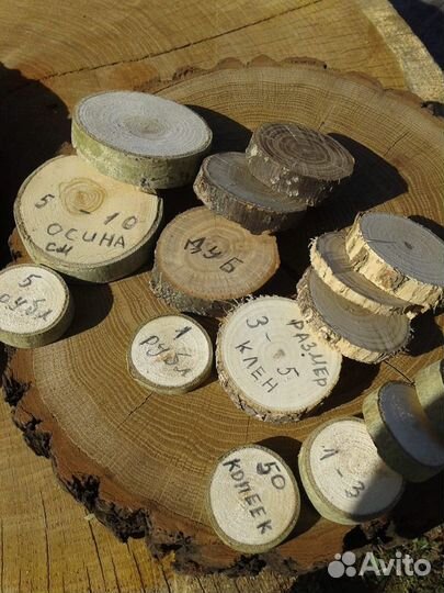 Спилы деревьев