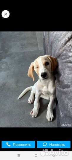 Красотка пережила боль но осталась доверчивой