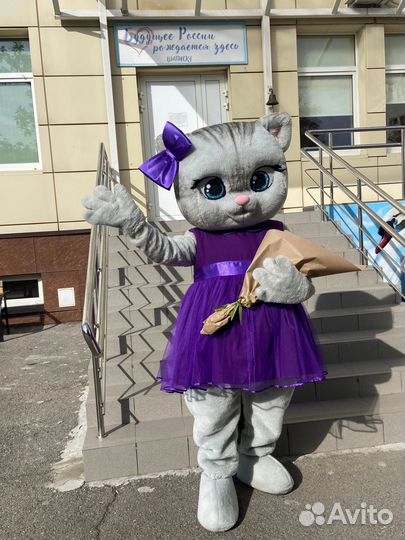 Экспресс поздравление