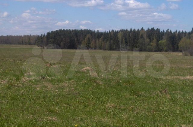 Участок 66,96 га (СНТ, ДНП)