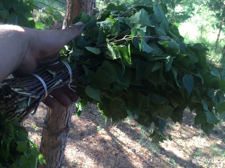 Банные березовые веники