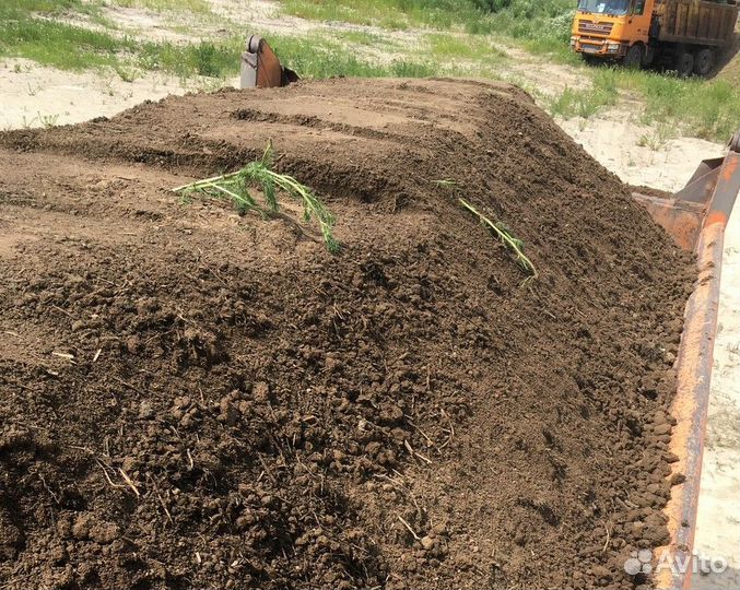 Земля плодородная сеяная