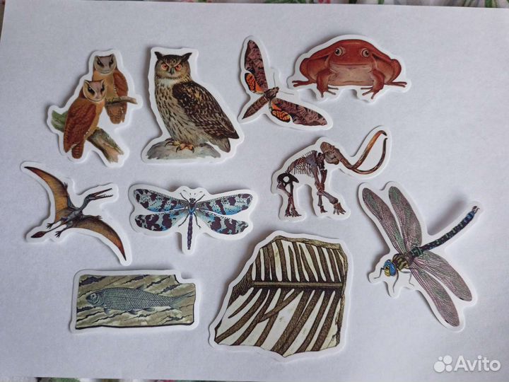 Наклейки водонепроницаемые