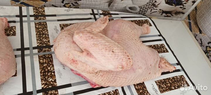 Продажа домашней курочки, уток, индейка