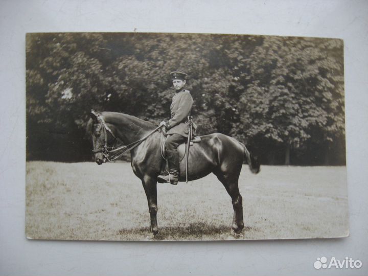 Антикварная фотография лошадь конь 1914 1944